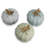 Dragonfly Scallop Boxes