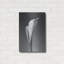 «Calla No. 4» par PhotoINC Studio-1996473091