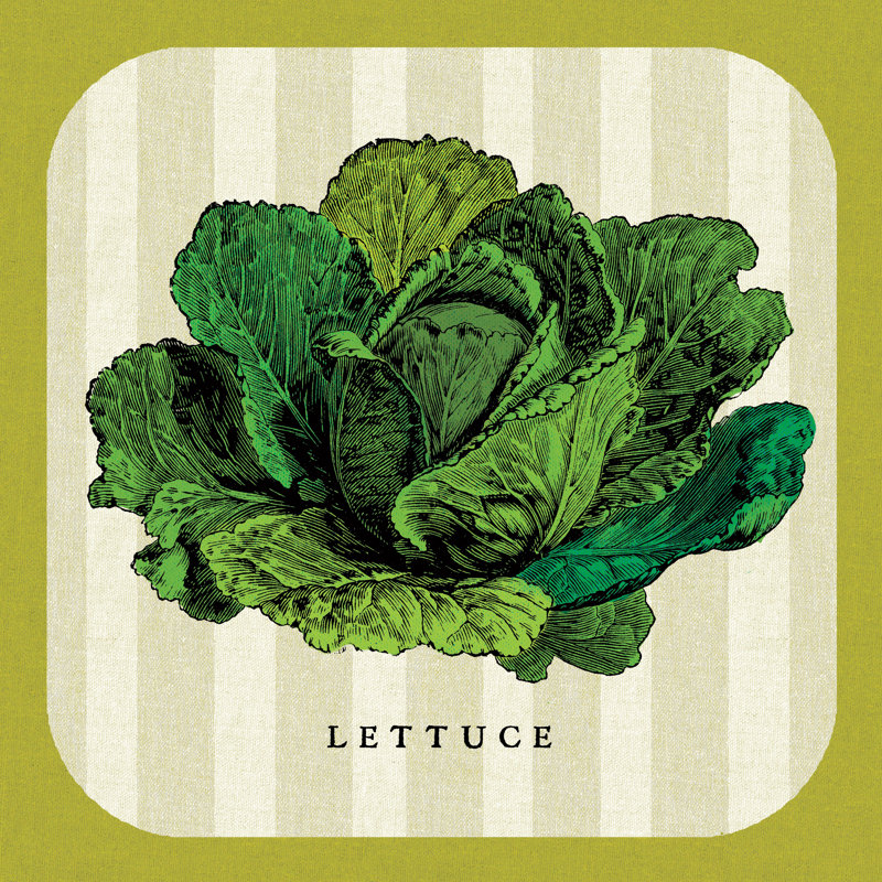 Linen Vegetable II by Studio Mousseau - No Frame Print on Canvas, 51cm H x 51cm W x 3.8cm D