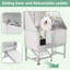 Station de lavage professionnelle pour chien en acier inoxydable 