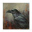 Animals John Silver Raven 1 Canvas Art-1961874448