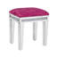 Mikayil Glass Mirrored Accent Stool Solid Wood Vanity Stool-615641602