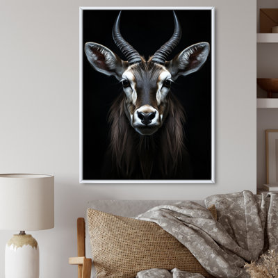 Antilope Keionna, photo II - impression