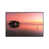 White Floater Framed