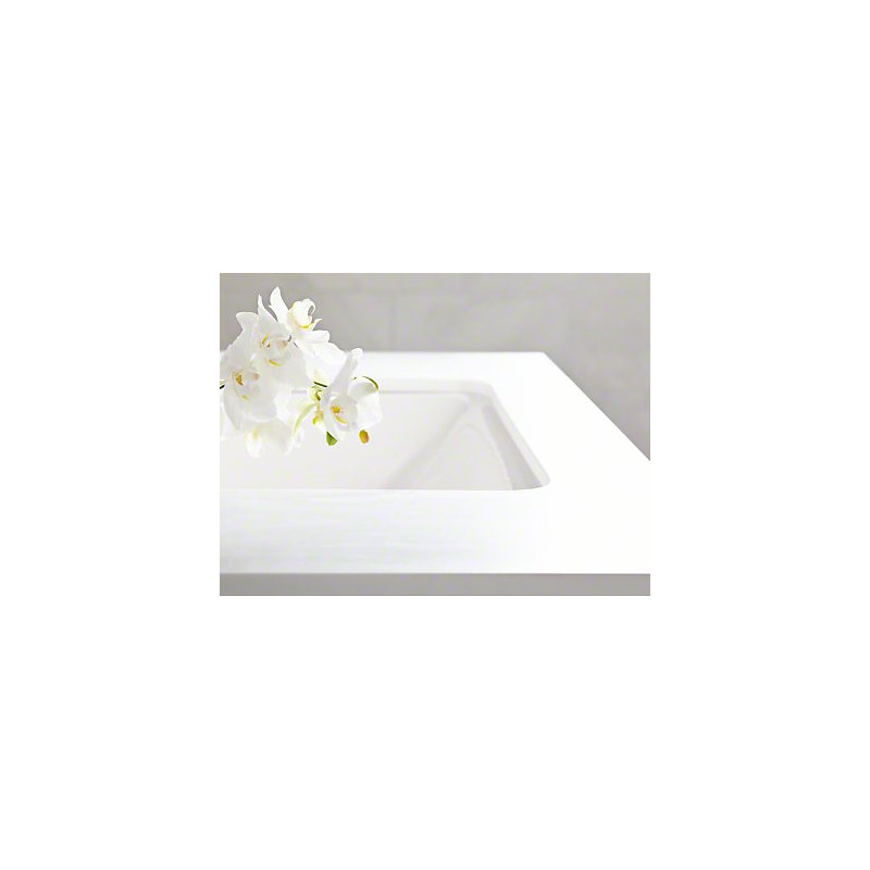 Iron Plains Dual-Mount Bathroom Sink, Almond