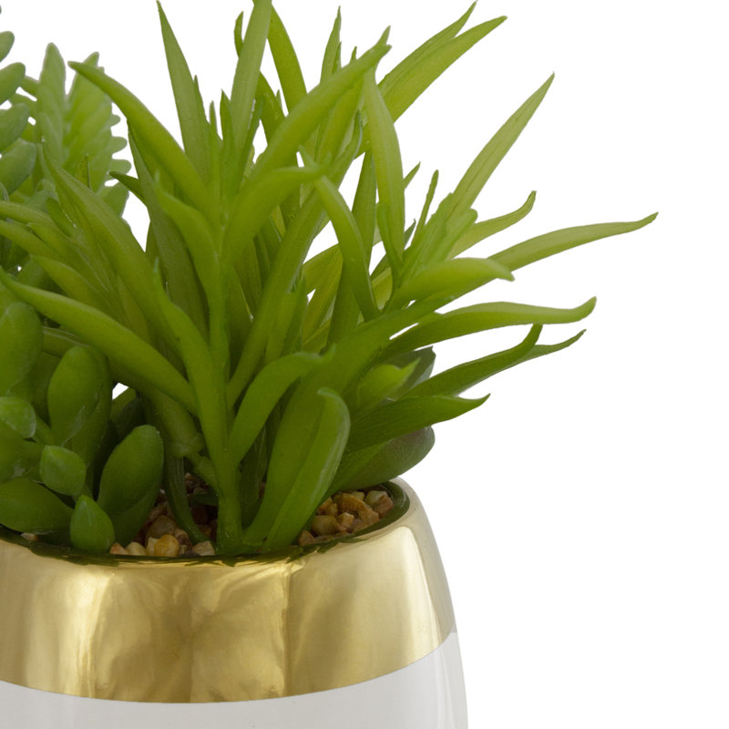 Chic 6.5" White and Gold Ceramic Potted Artificial Succulent