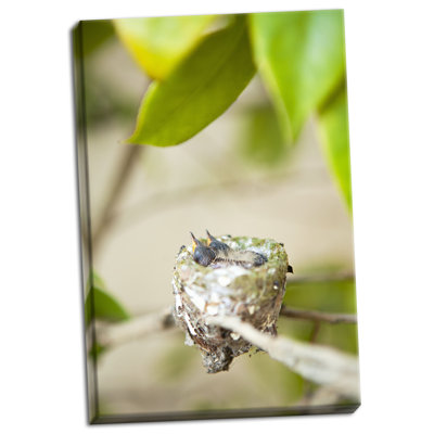 " Hummingbird Nest " by Karyn Millet