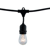 Jothan 48-ft Outdoor 15 - Bulb Standard String Light (End to End Connectable)