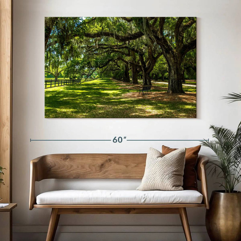 Paysage Harnek Boone Hall, H 34 po x l 51 po