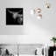 Realistic Black And White Highland Cow Photography Print by Oliver Gal-69341779-69341780