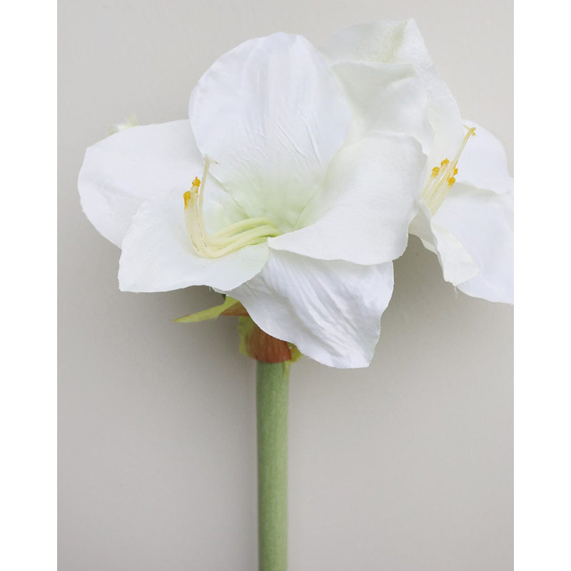 Amaryllis artificiel blanc 19,5 po, White