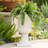 Versatile Magnesium Oxide Planter for All Settings, Enhancing Your Space