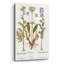 «Valeriana» par Art Licensing Studio, art mural en verre acrylique, 12 po x 16 po