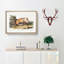 Red Fox Caught in a Trap by J.W. Audubon - Picture Frame Painting Print on MDF-55597787-55597790