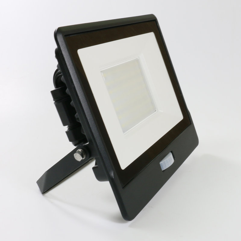 Amie-Lee Floodlight