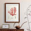 Cadre rétro vintage Coral Study IV de qualité supérieure - prêt à être accroché-989064983-989064984