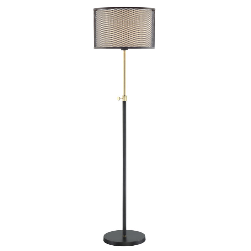 Bajram 62.5'' Traditional Floor Lamp