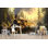 Papier peint Golden Hour Train Journey - rétro machine à vapeur dans les montagnes ensoleillées de la forêt, paysage romantique, art de voyage