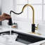 Pull Down Spray Single Lever Kitchen Tap-366610967