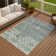 Machine Washable Indoor/Outdoor Matteson ACN2304 Casual Rug