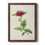 «Pretty Pink Botanicals II», reproduction d'art sur toile-1220564975-1220564944