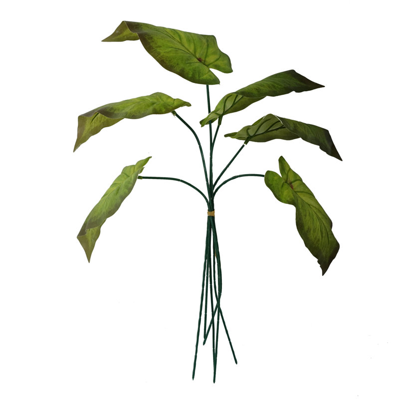Andarius Arrangement