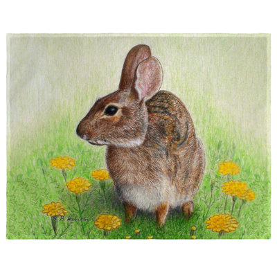 Ensemble de 4 napperons Rabbit