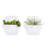 Joclyn Ceramic Wall Planter