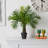 Faux Palm Tree in Pot Liner-1716025063
