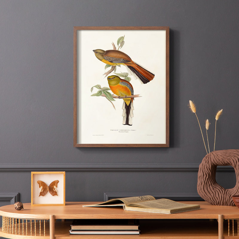 Impression encadrée Elegant Trogons II - bois massif, H 10 po x l 8 po, Cadre photo brun simple