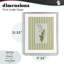 Reproduction sous verre rayée «Lily Of The Valley», par Lisa Wehmeyer-352370639-352370632