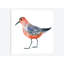 « red oiseau », impression sur toile-29773179-74407603-74407608