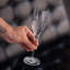 Luigi Bormioli Diamante 7.5 oz Prosecco / Sperkling Wine Glasses