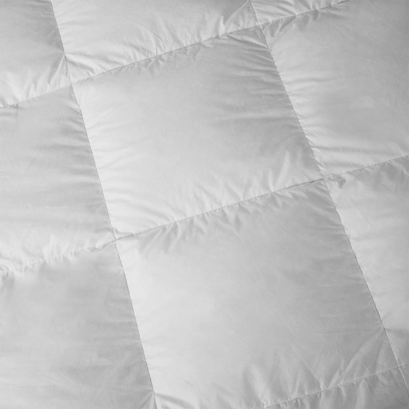 Prestige Goose Down Comforter, Queen
