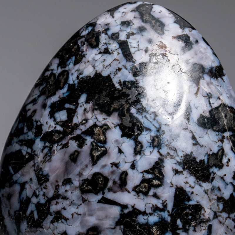 Genuine Polished Indigo Gabbro Freeform from Madagascar (1.4 Lbs)