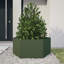 Alivya Metal Elevated Planter-1615744389-1611460449