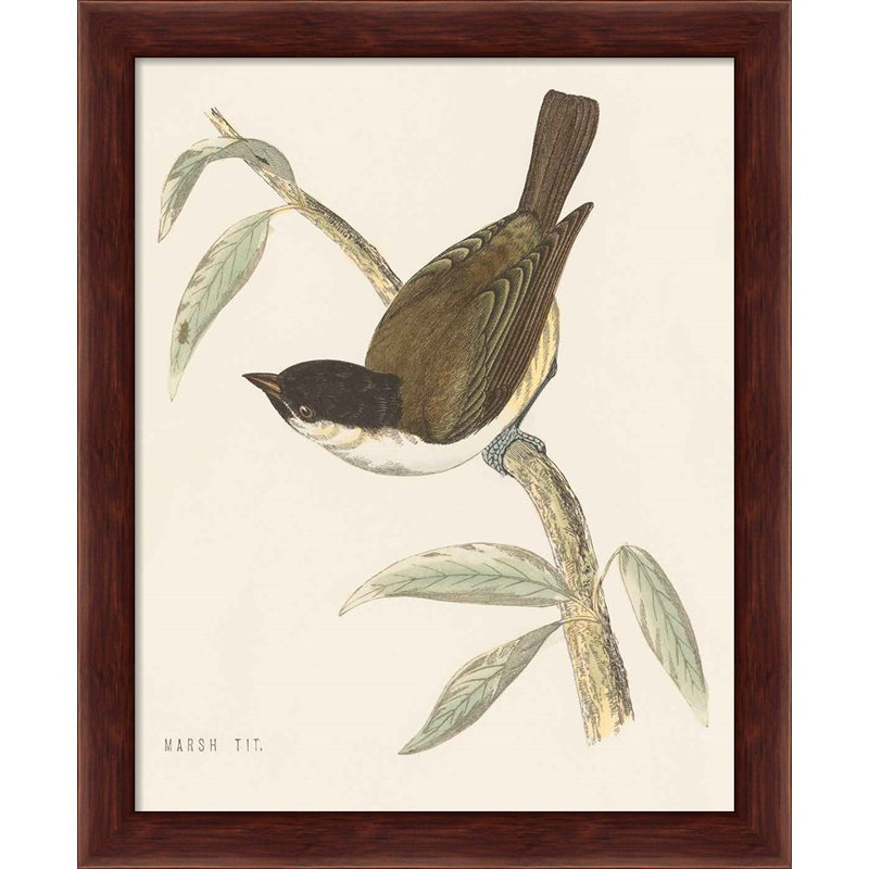 «Engraved Birds» par Wild Apple Portfolio, art encadré (ensemble de 2)
