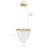 1-Transparent dimmable LED iron pendant light