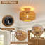 30Cm Elegant Rattan Flush Mount-642030909