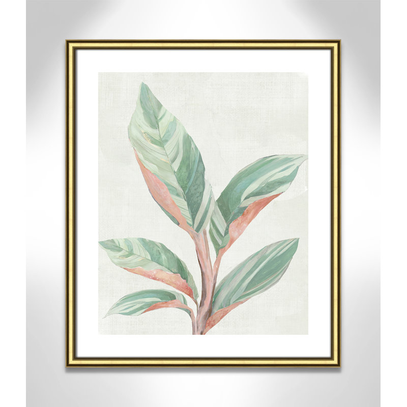 Gingembre II - reproduction d'art, Papier encadré doré, H 25,5 po x l 21,5 po x P 0,88 po
