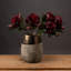 Anastasija Arrangement-334670420-334670443