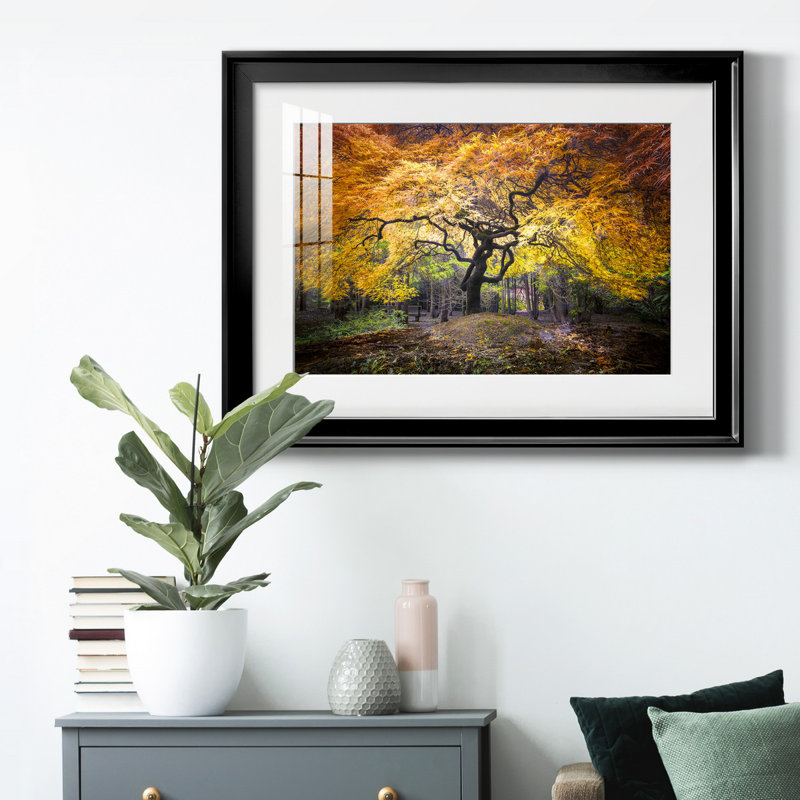Hidden Jewel - Photographie avec cadre photo, H 30,5 po x l 42,5 po x P 1 po, Noir, Blanc