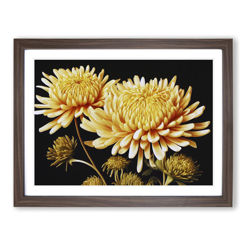 Astonishing Chrysanthemum Flowers 1 Piece Single Picture Frame Wall Art, 25cm H x 34cm W, Brown