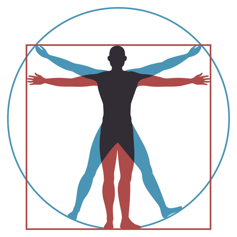 Vitruvian Man, 30cm H x 30cm W x 3.8cm D