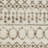 Southwestern Indoor Rug-2131427298