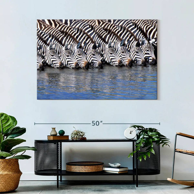 Crowle Zebras buvant de l'eau, H 32 po x l 48 po