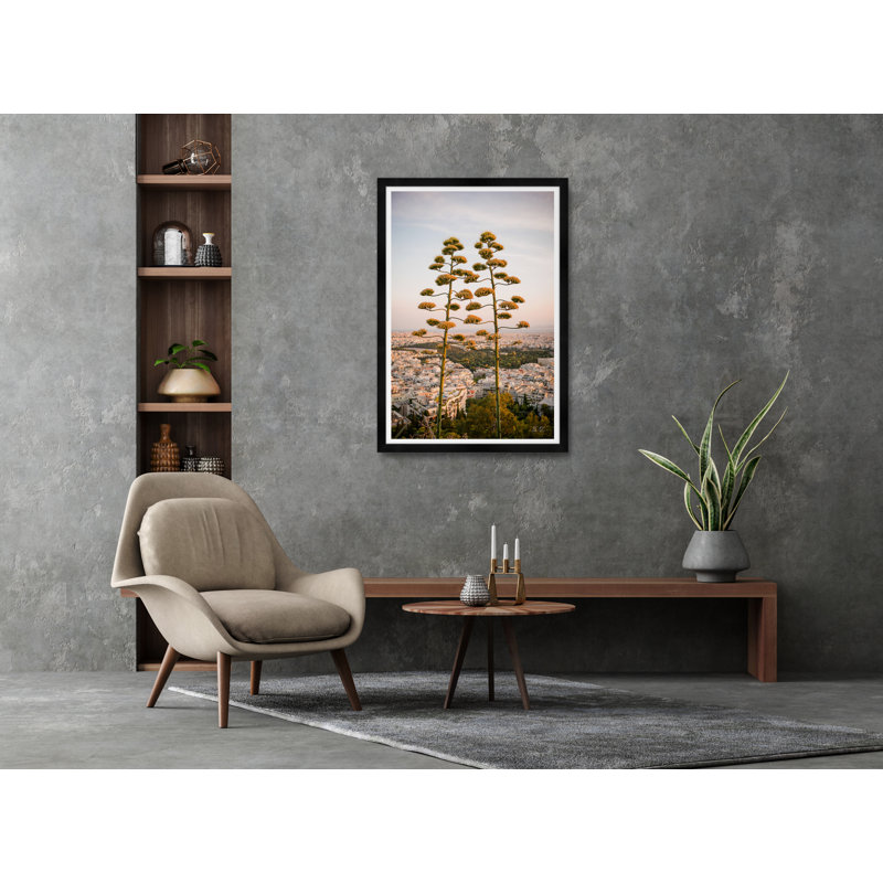 Agave Trees On Hills Of Athens II Print by Tim Klein