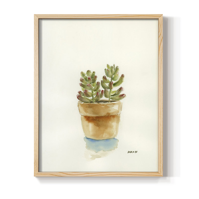 Succulent III, reproduction encadrée - bois massif, Naturel, H 11 po x l 9 po