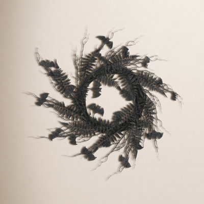 24" Fern Halloween Wreath