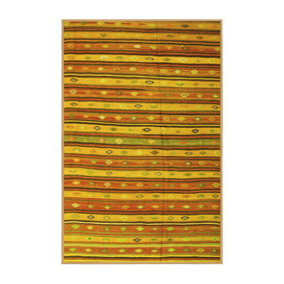 Performance Southwestern Indoor Rug